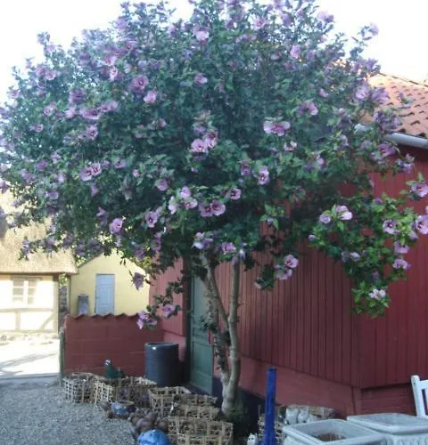 Estalagem Vindeballe Ærøskøbing
